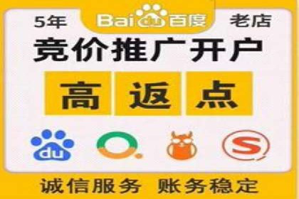 SEM主管案例分析：优化策略